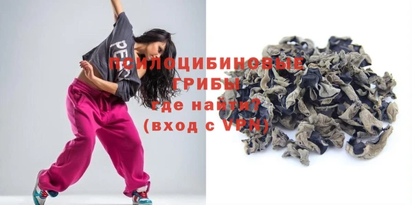 ECSTASY Алзамай