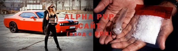 гидра Алексин