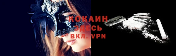 ECSTASY Алзамай