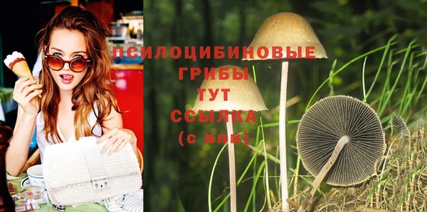 кокс Михайлов
