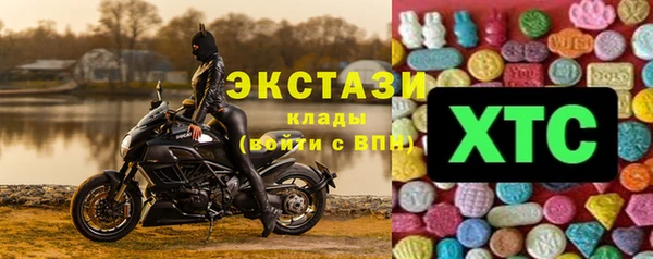 ECSTASY Алзамай